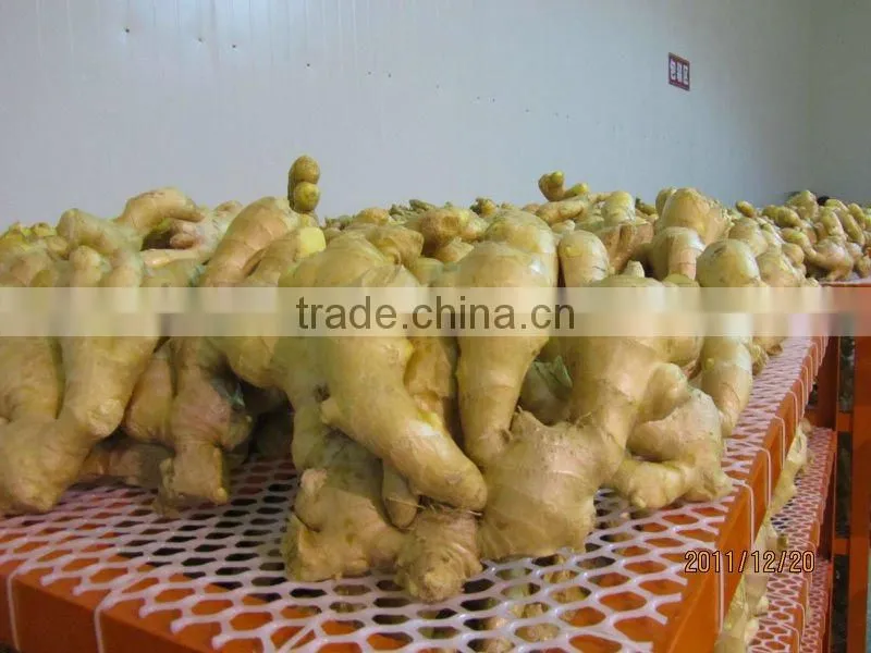 Fresh ginger needed