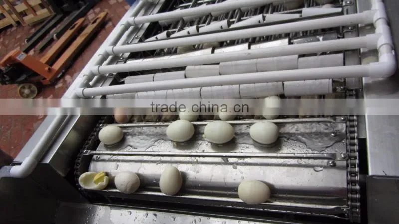 FT-200 High Capacity Boiled Chicken Hen Egg Shelling Breaking Peeling Machine