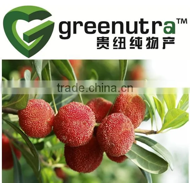 Bayberry Extract