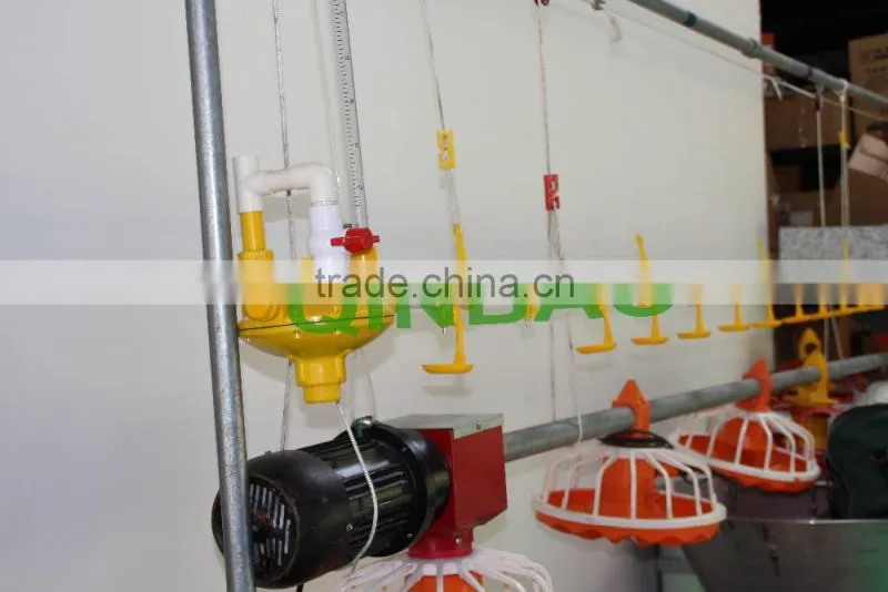 automatic chicken feeding chicken feeding line poultry chain feeding system