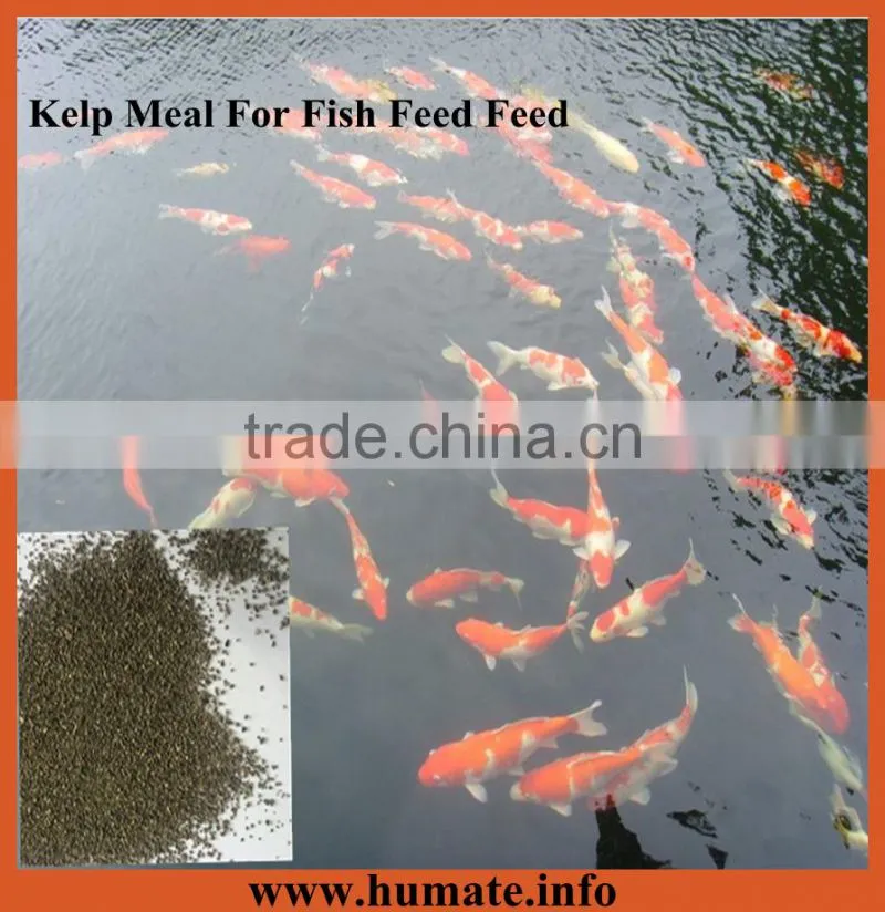 High Quality Kelp Meal Organic Fish Fertilizer