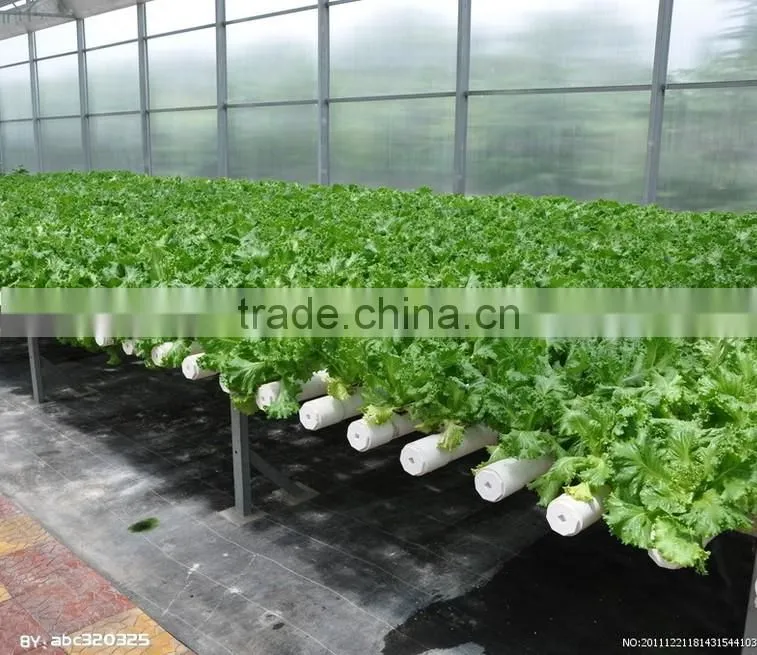 Good daylighting and fire retardant vegetables greenhouse,commercial greenhouse,fiberglass greenhouse