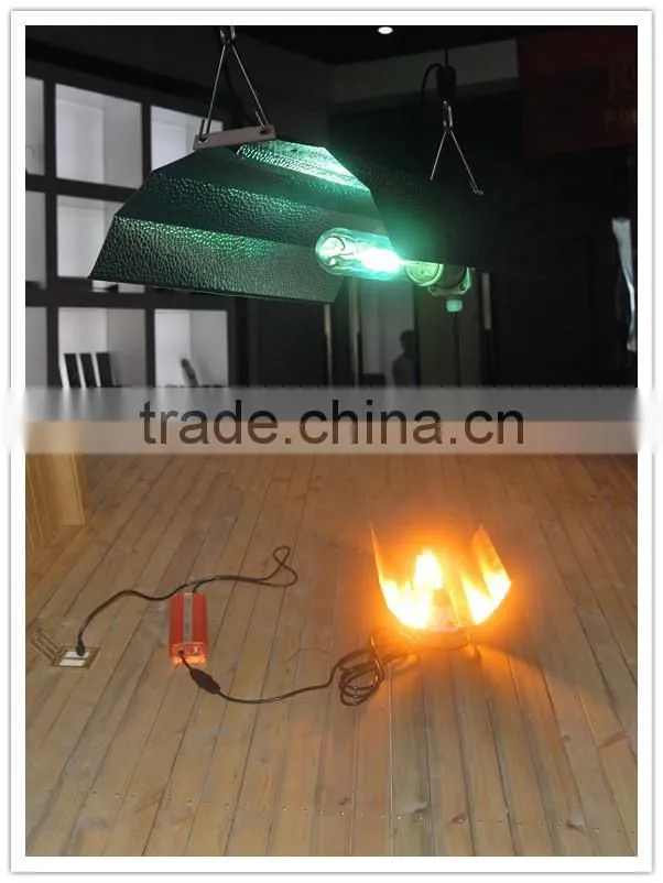 Indoor Plant Lighting 600w HPS/Halide Ballast/600w Hydroponic Magnetic Ballast