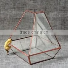 Micro landscape indoor glass greenhouse/ clear glass indoor plant terrarium /Geometric Glass Terrarium