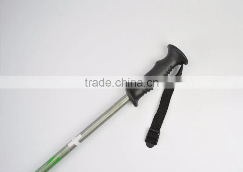 Alpine ski pole