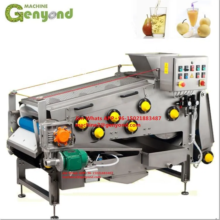 Best Selling Fruit Juice Processing Plant Pomegranate Juice Processing Machines for Sale Belt Press for Juice