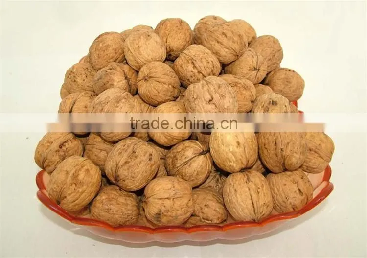 organic walnuts in shell, best price