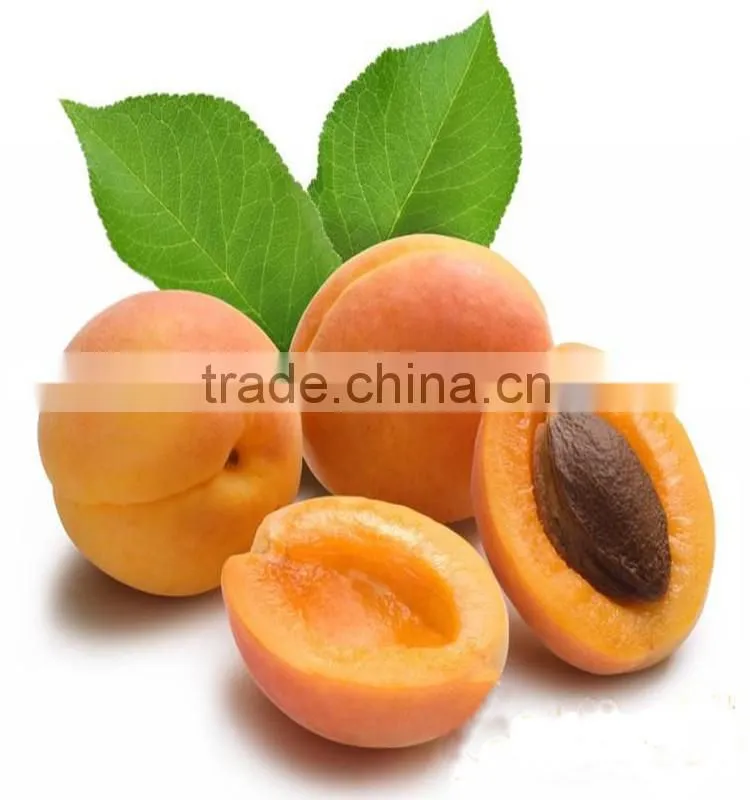 sweet almond oil