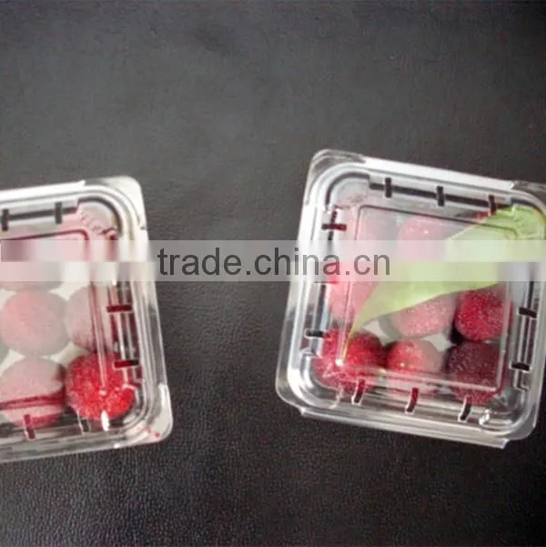 Small clear plastic waxberry packaging box