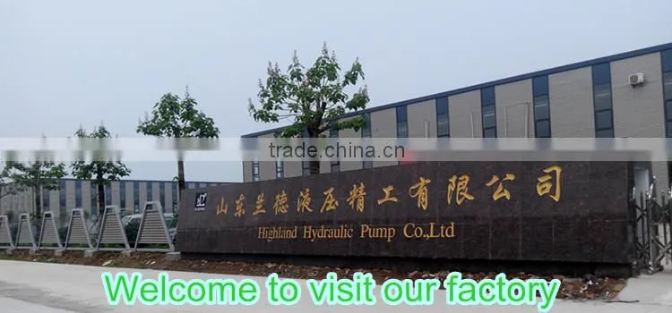 With patent electric hydraulic power steering pump