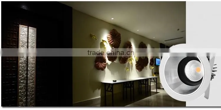 Modern Adjustable led cob portable spotlight