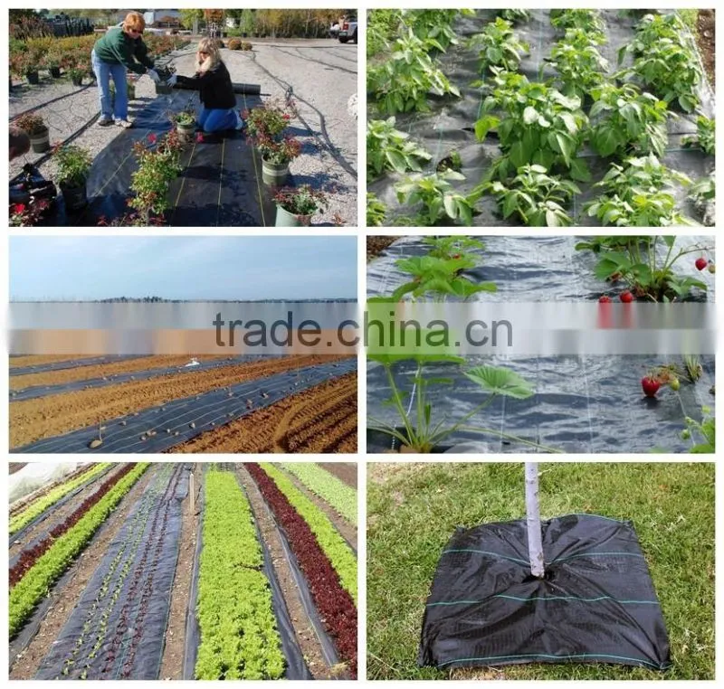 3.2oz Heavy Duty 6.5ft Wide Weed Barrier Fabric Panel, Garden Fabric 3.2 oz/sq.yd, Woven Weed Control Landscape Fabric Sheeting