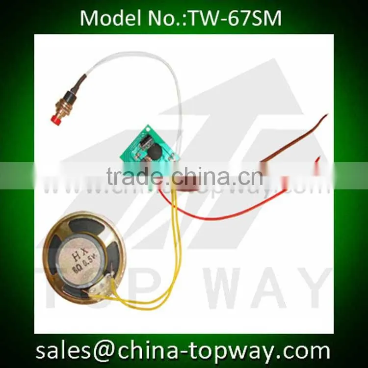 1000s recordable voice module for toys