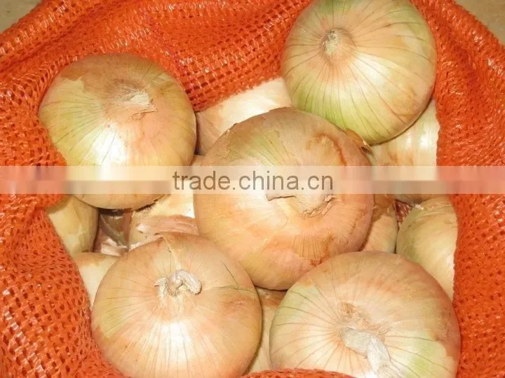 Onion