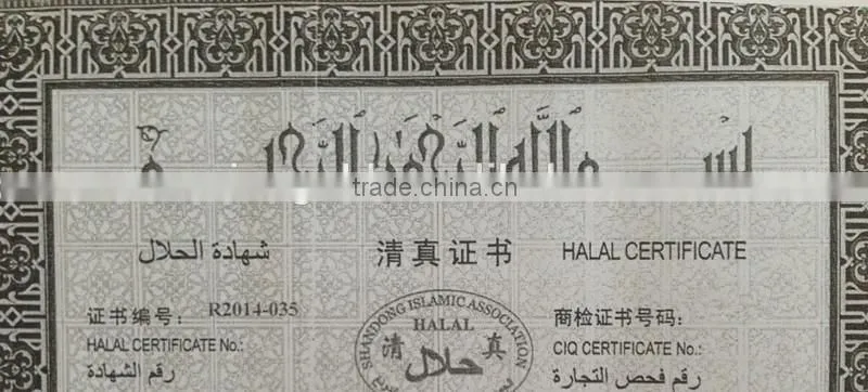 Best quality Frozen halal duck breast