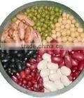 Thick type starch containing milk beverage suspending agent