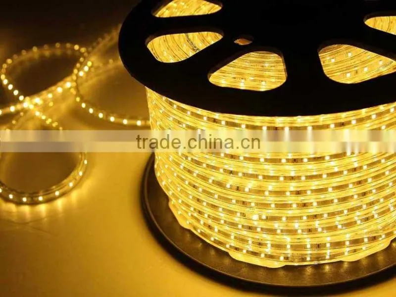 Outdoor Use Tube Around Waterproof SMD3528 110 Volt Led Light Strip