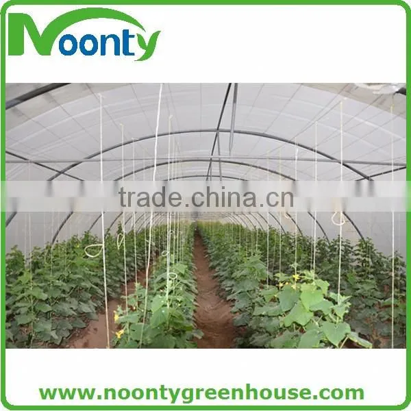 Economical Tunnel Greenhouse