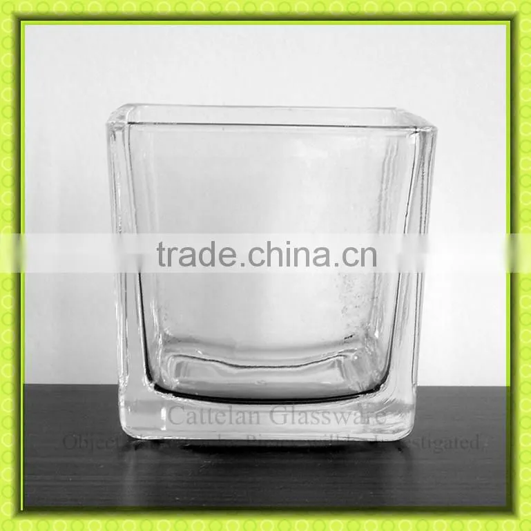 G365 Anhui Cattelan Glassware factory Glass Material Square Vase for Fresh Flower for Home decoration