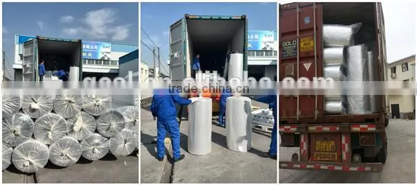 Woven Dry Cold Bulk Thermal Insulation Container Liner