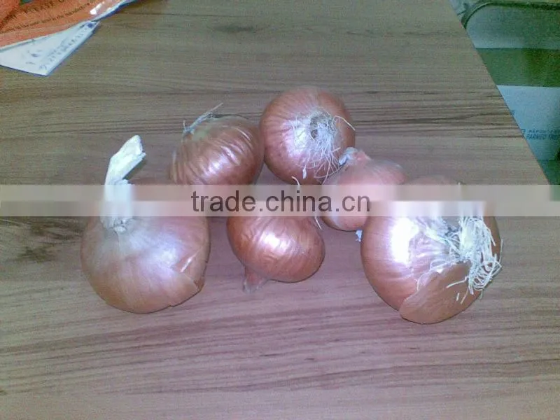 Onion ( Yellow - red - white ) crops 2014