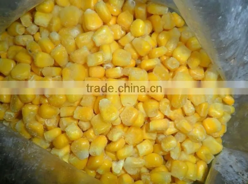 Chinese frozen sweet corn with HACCP