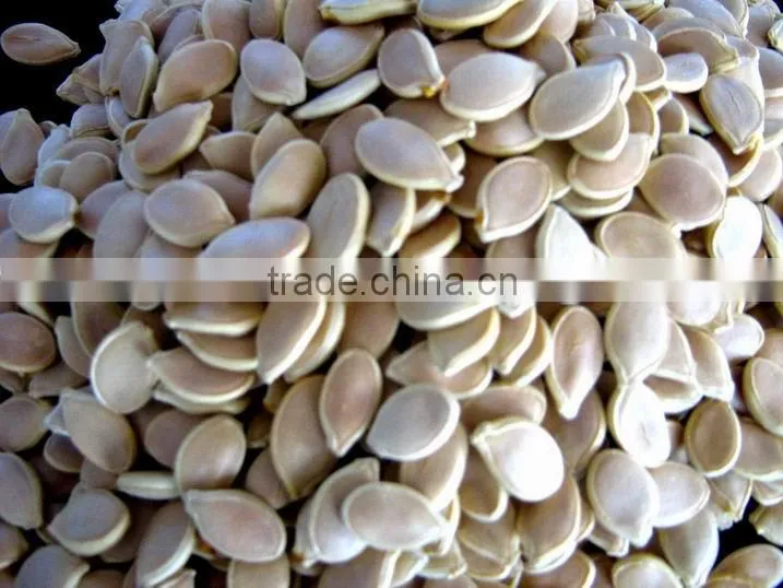 Top High Quality Multiple Extract Ratio-Pumpkin Seed Extract---chinese snow white pumpkin seeds From SinoBNP