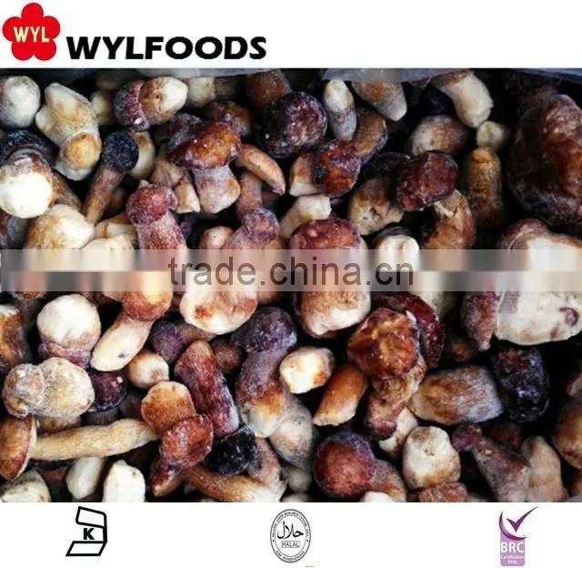 Good price frozen baby oyster mushroom 2016 with Grade A
