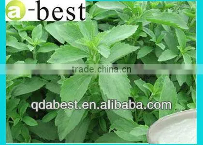 High quality stevioside pure powder 80%