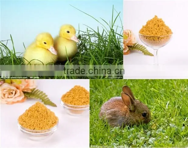 Soy Lecithin in Powder