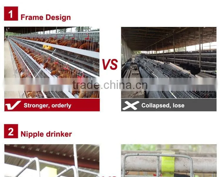 CHINA sales promotion 80 dollars this month chicken coop supplies