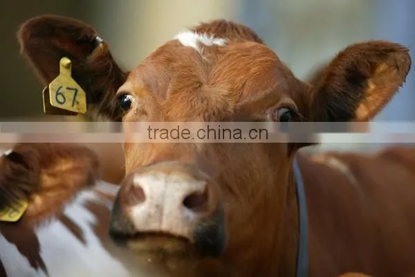 RFID Animal Ear Tag With Laser Logo