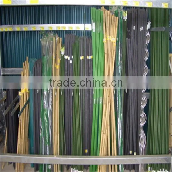 colored bamboo poles/canes