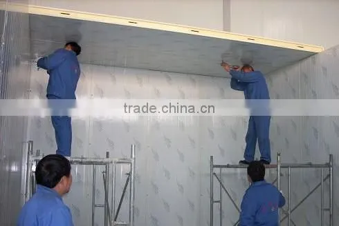 storage cold room price for meat