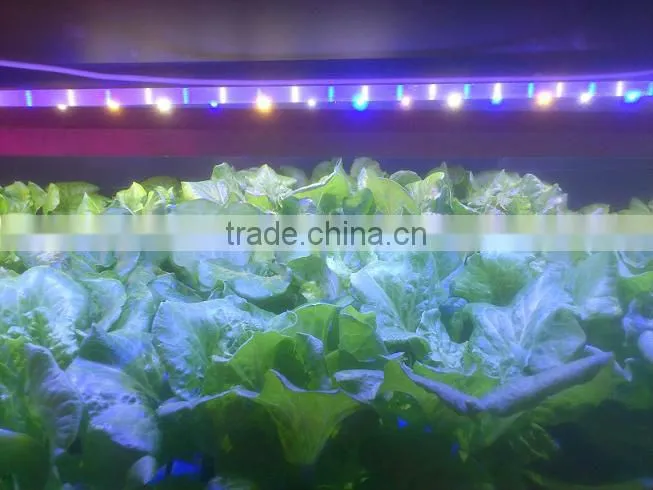 2013 Hydroponic/ garden full spectrum led grow light strip