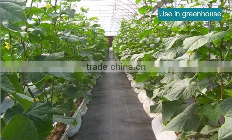 PP woven weed control mat