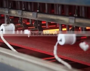 Shortwave halogen heat lamp for drying oven