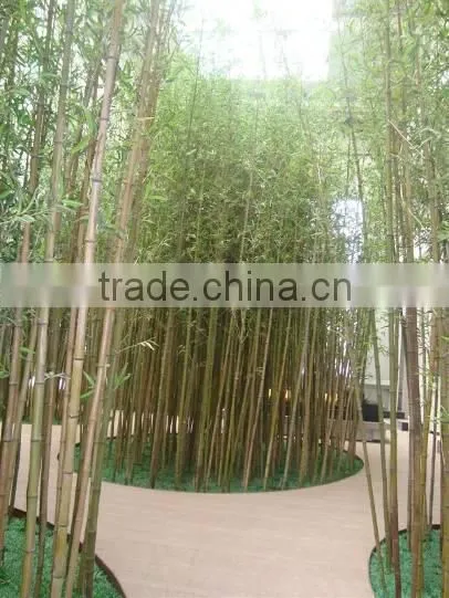 LT091807 High quality decorative artificial bamboo, fake bamboo bonsai tree made in China