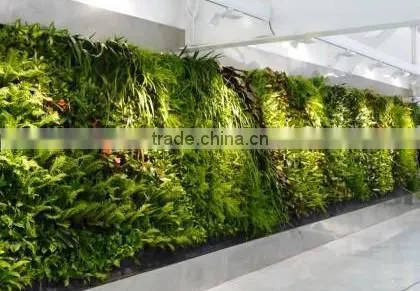 SJ0409035 New customized plastic grass hedge wall for decoration