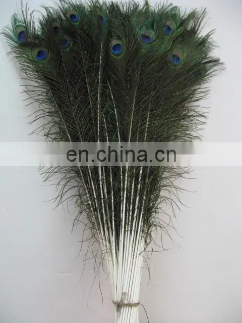 Factory directly sale 80-90cm wholesale stable quality peacock Feathers in stock