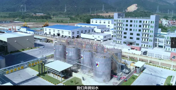 Guangdong Henghe Yongsheng Industrial Co.,Ltd company overview - view 2