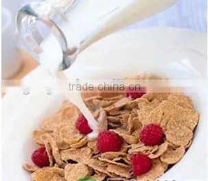new tech Breakfast Cereals Manufacture Line/Plant