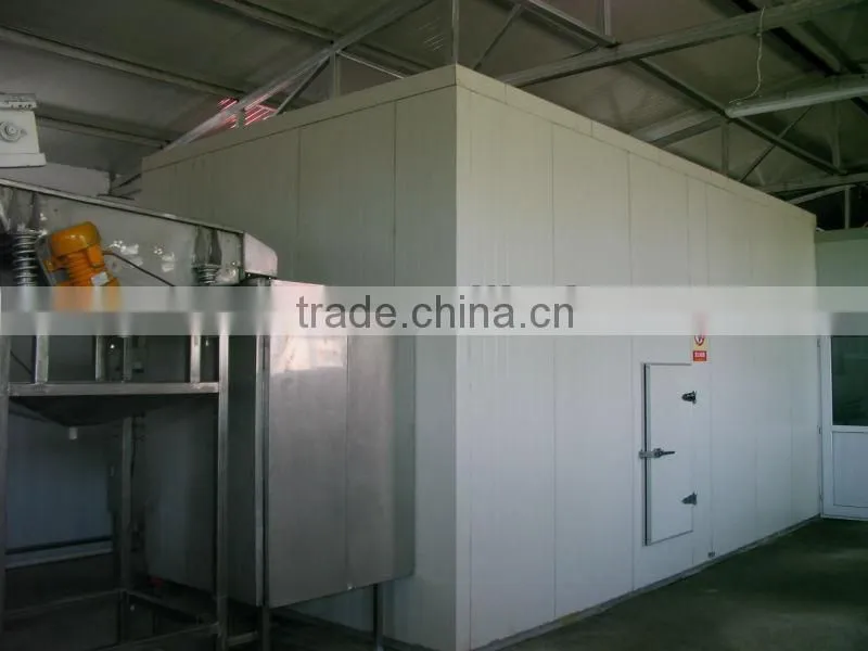frozen french fries production line