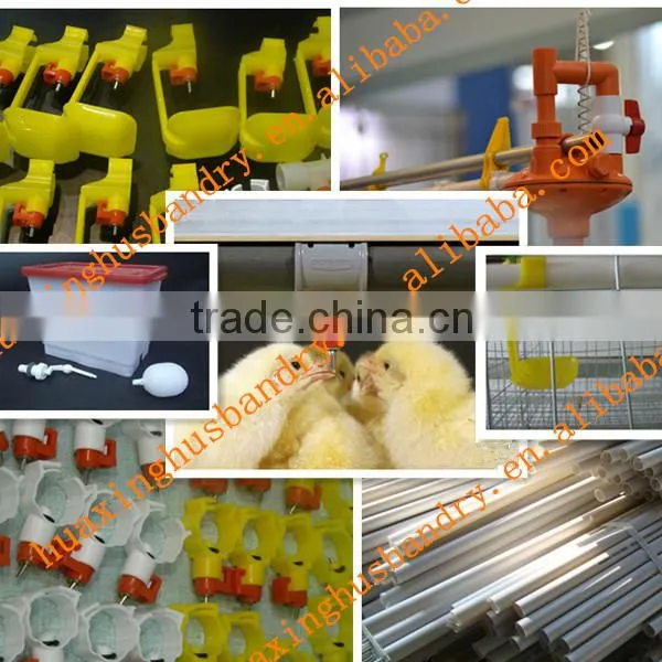 chicken broiler /cock cage with automatic poultry equipment