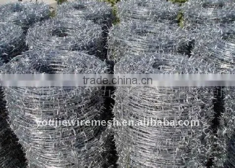 BWG 12 Gauge Barbed Iron Wire(Manufacturer)