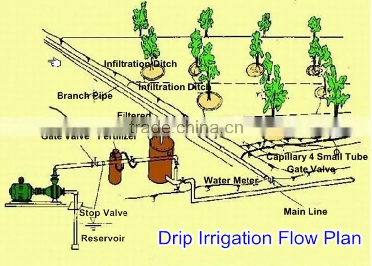 FAQ 12--Application Of Drip Irrigation Technique