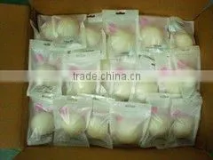 netural packing dry rectangle konjac sponge