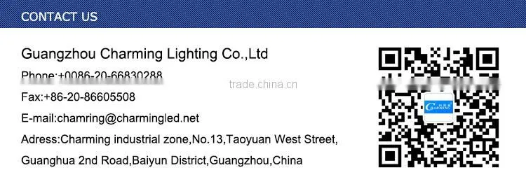 Charming LED Storm Falling Star Light With Tight Pixel Light