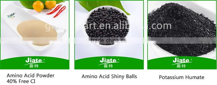 seaweed extract organic powder /flake fertilizer