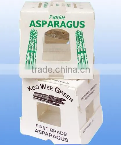 Asparagus corrugated plastic packaging box